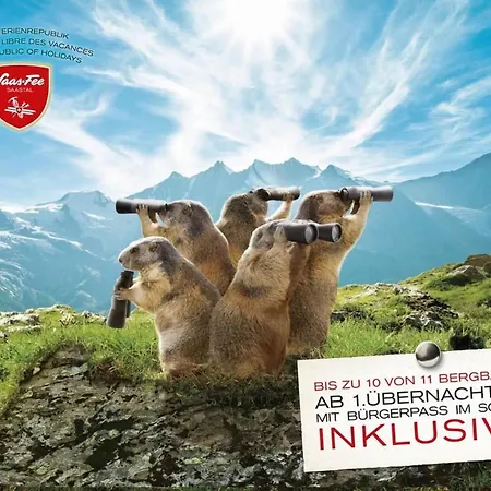 Helvetia Appartement-fewo Dachwohnung Nr- 7 By Interhome Apartment Saas-Fee