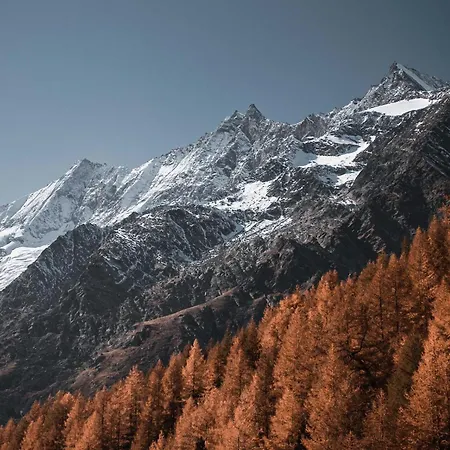 Helvetia Appartement-fewo Dachwohnung Nr- 7 By Interhome Apartment Saas-Fee